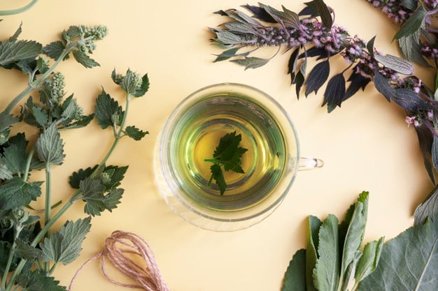 Melissa çayının faydaları - Nasıl yapılır ve bakımı